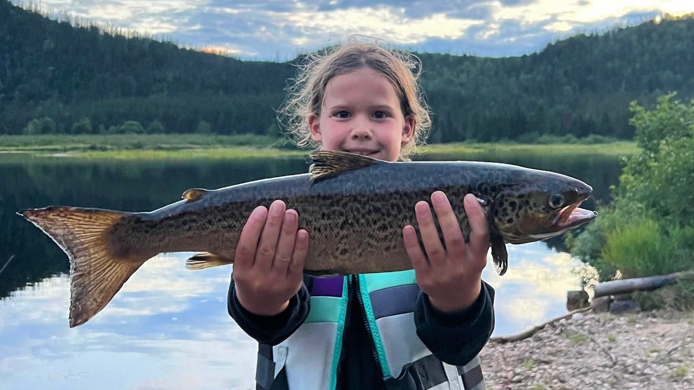 Forfaits de chasse et pêche à l'ours noir — Pourvoirie Duhamel – Pourvoirie Duhamel
