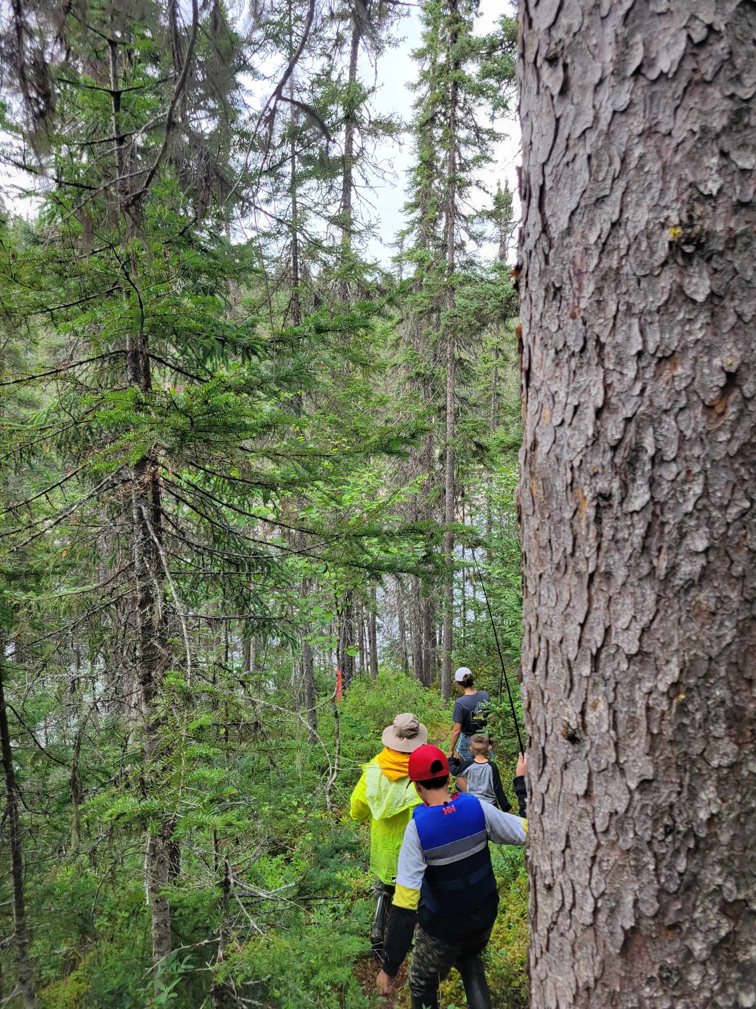 364647060_3542748099270311_7563604587705802630_n.jpg 364647060_3542748099270311_7563604587705802630_n.jpg