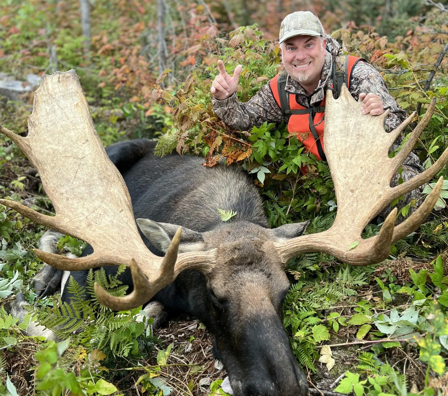 Permis de chasser - Fédération départementale des Chasseurs de l